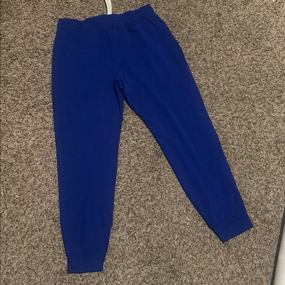 Vuori Performance Blue Jogger Pants - Picture 7 of 10